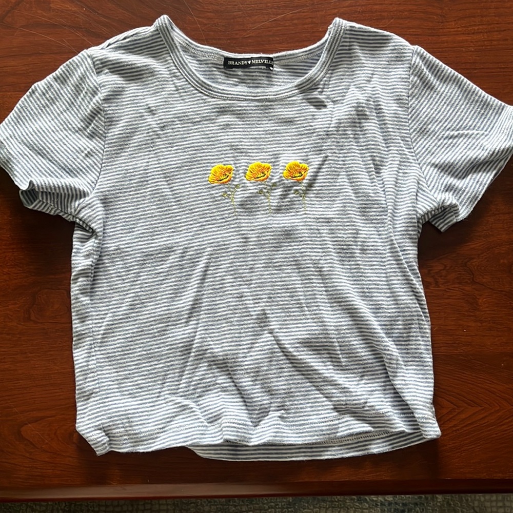 Striped blue and white with yellow flowers brandy melville crop top